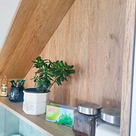 Buku Hill 아파트 *